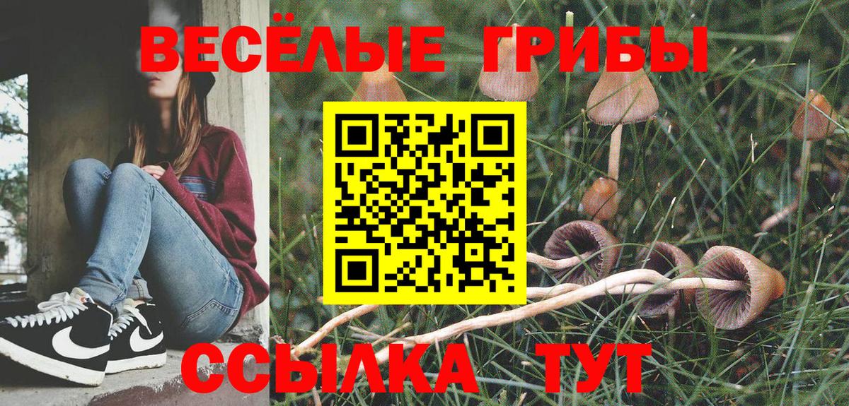 Псилоцибиновые грибы Psilocybe  Галлюциногенные грибы Magic Shrooms  Туапсе  Вход с VPN 